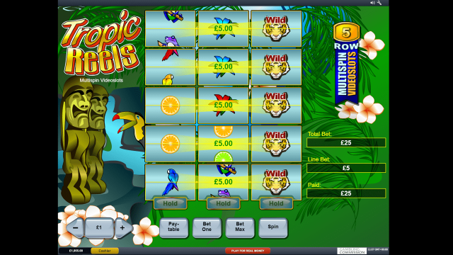 Tropic Reels 7