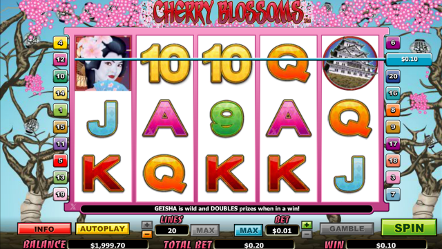 Cherry Blossoms 4